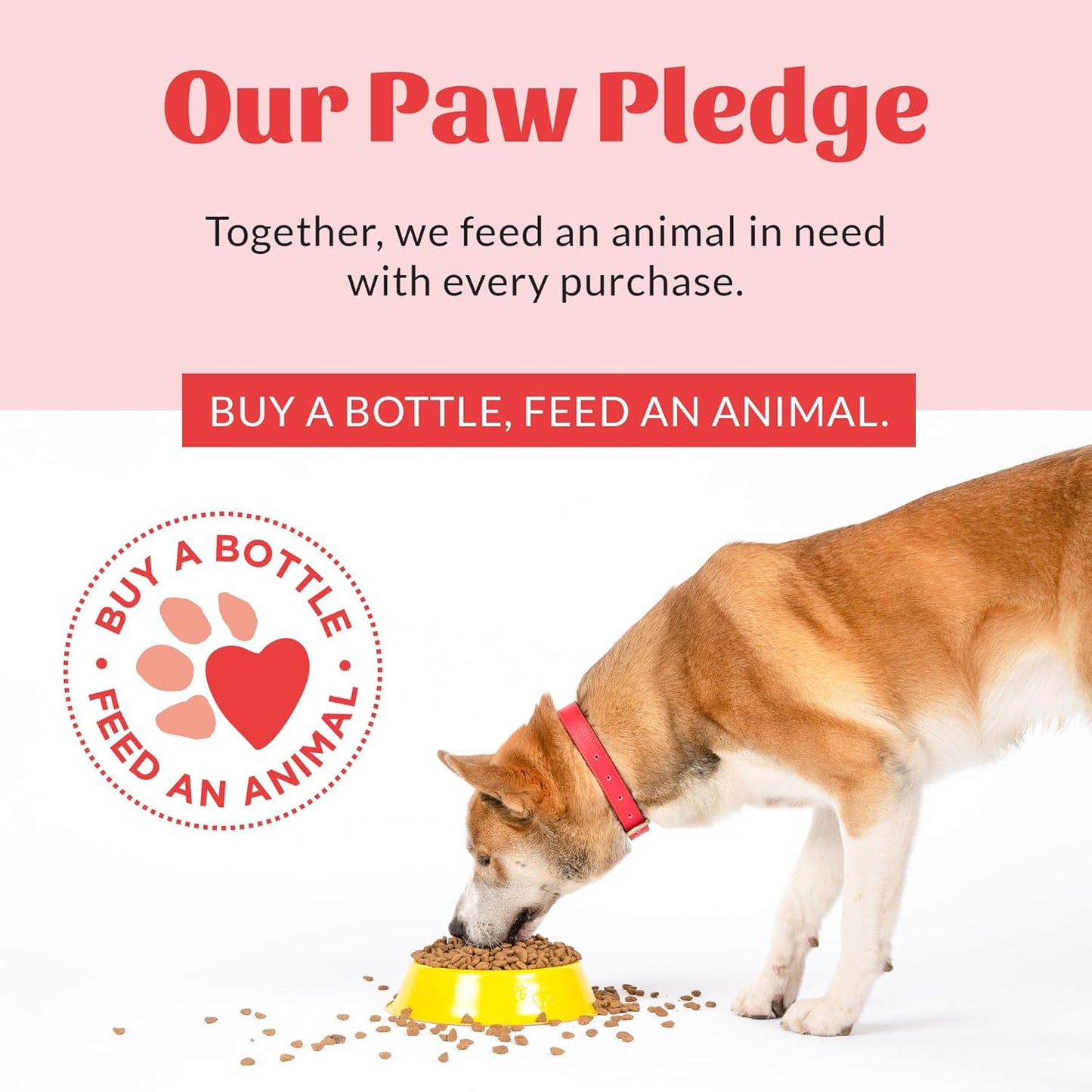 SKOUT'S HONOR Prebiotic Pet Balm