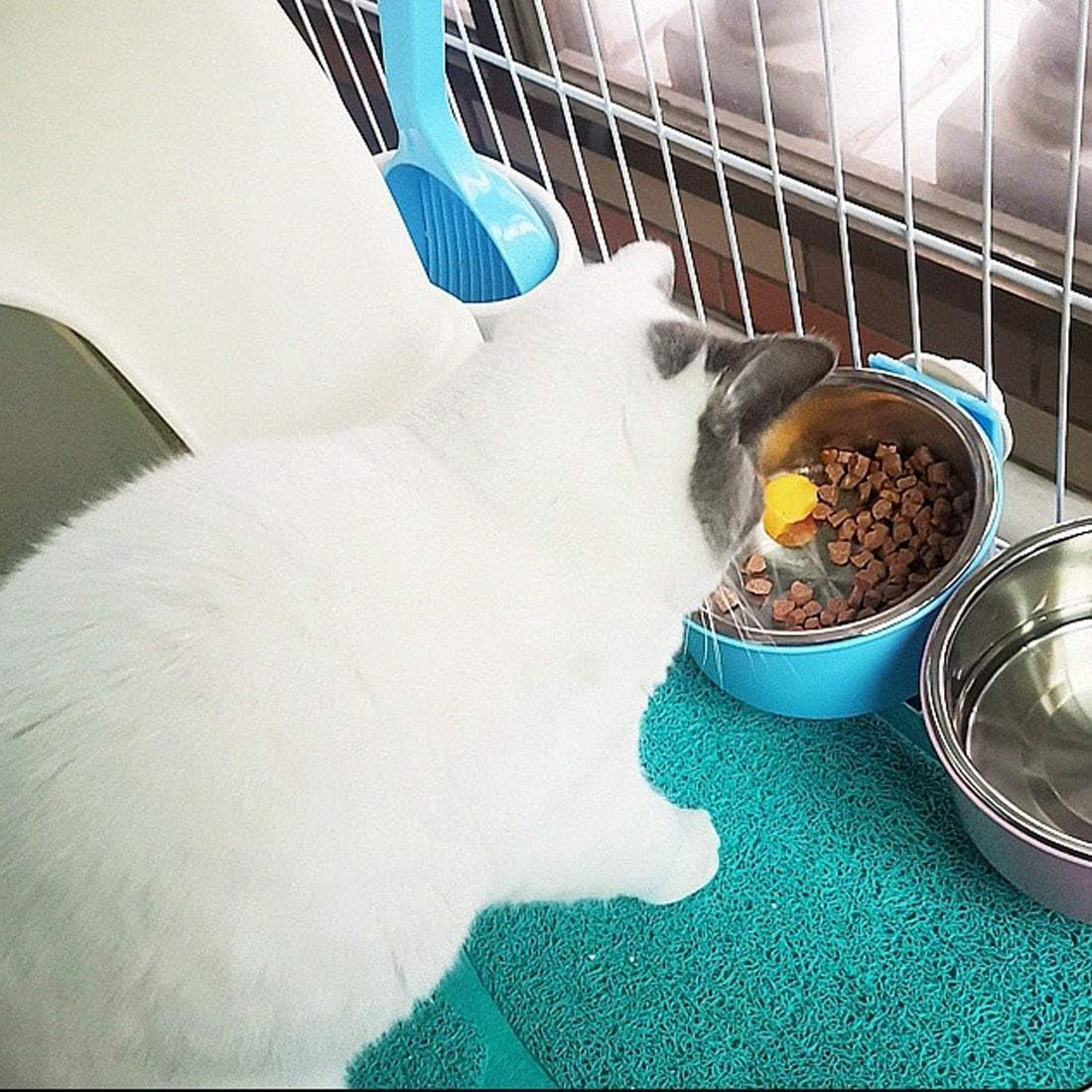 Hamiledyi 2-Pack Hanging Dog Bowls with Removable Stainless Steel Feeder