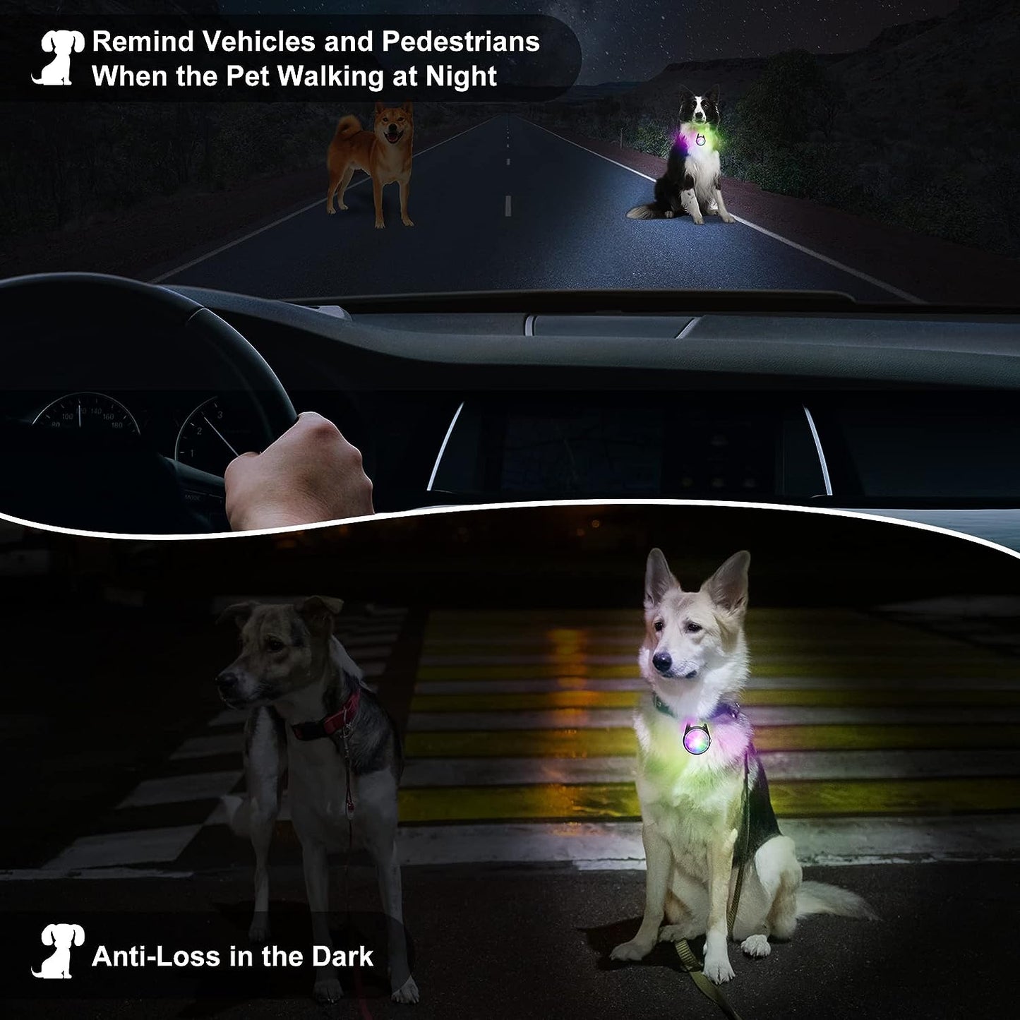 Dog Collar Light, 4 Modes Dog Lights for Night Walking