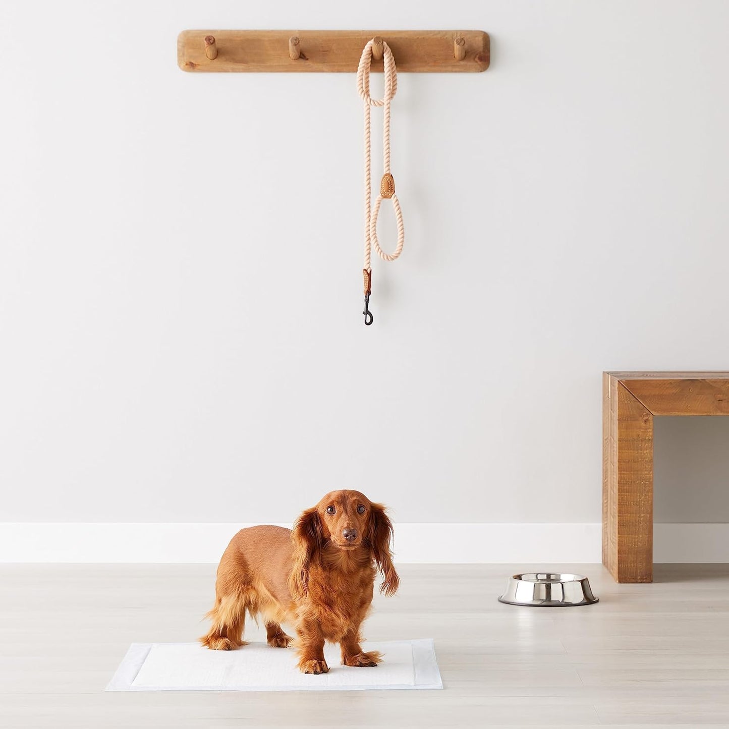 Amazon Basics Dog and Puppy Pee Pads