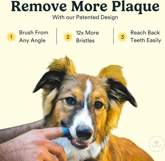 Jasper Dog Toothbrush, 360 Dog Tooth Brushing Kit,