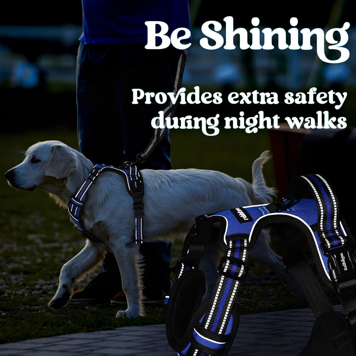 Rabbitgoo Dog Harness Medium Sized