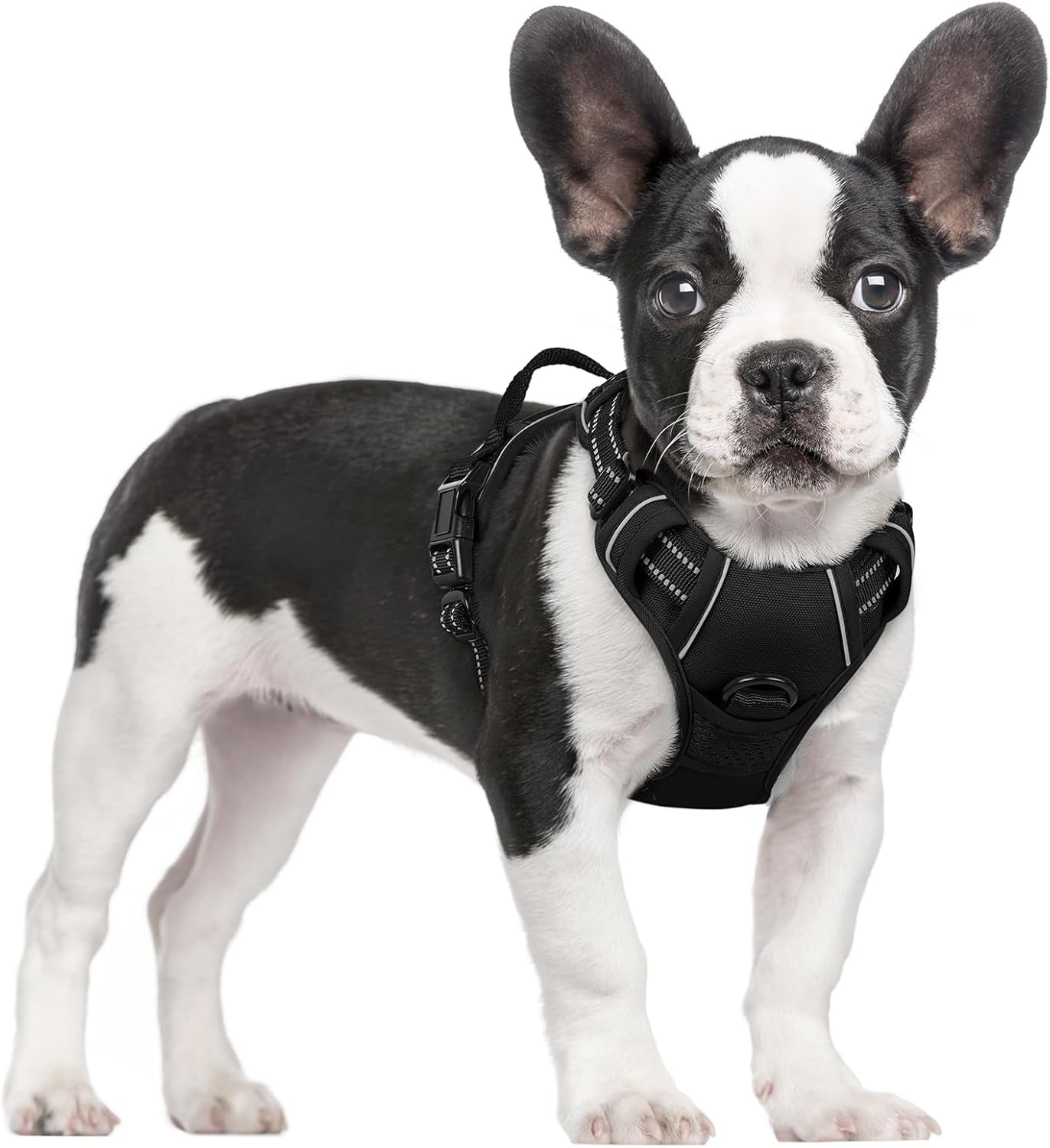 Rabbitgoo Dog Harness No Pull with 2 Leash Clips