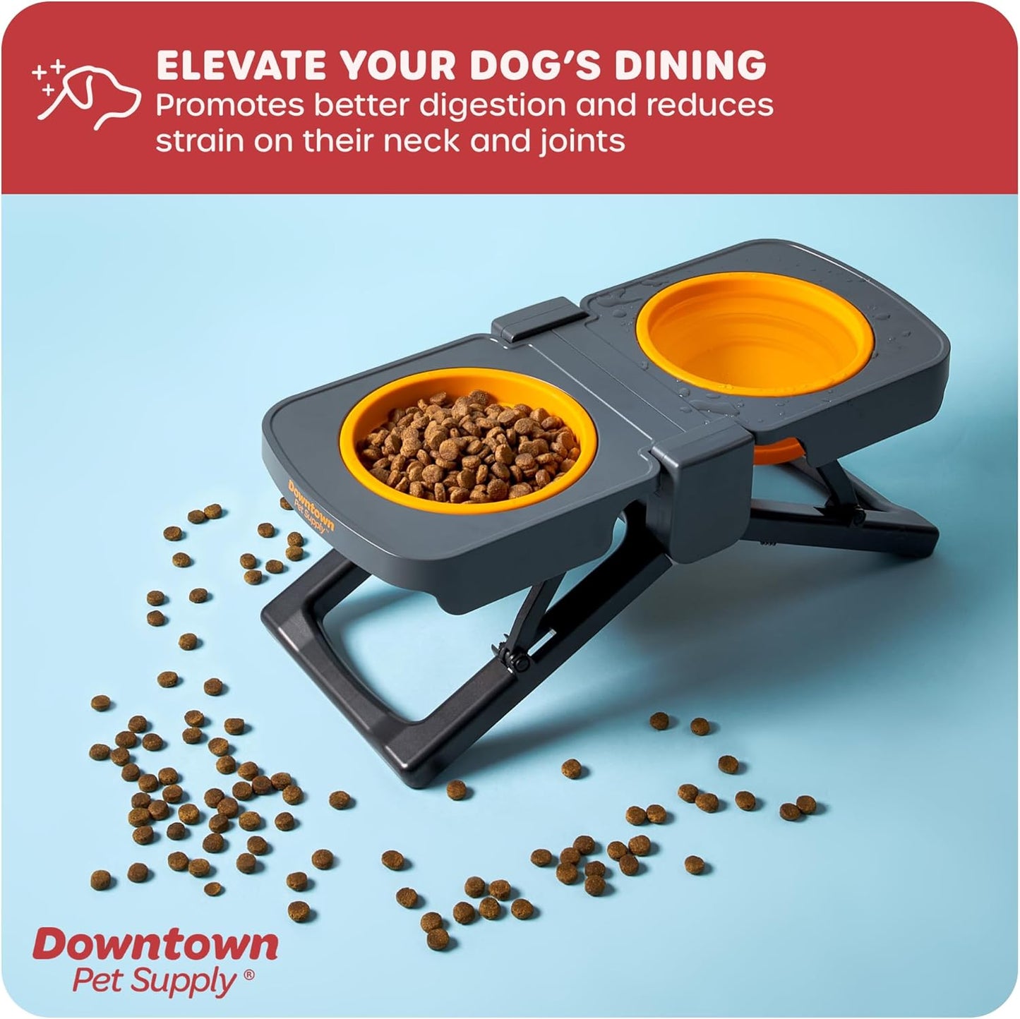 Downtown Pet Supply Raised Dog Bowl