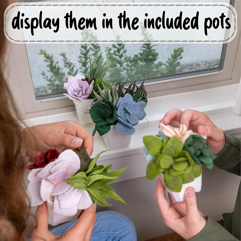 Hapinest DIY Felt Succulent Craft Kit – 4 Potted Plants for Adults & Teens