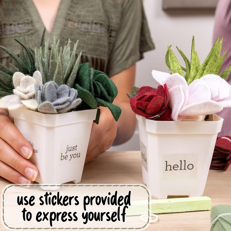 Hapinest DIY Felt Succulent Craft Kit – 4 Potted Plants for Adults & Teens