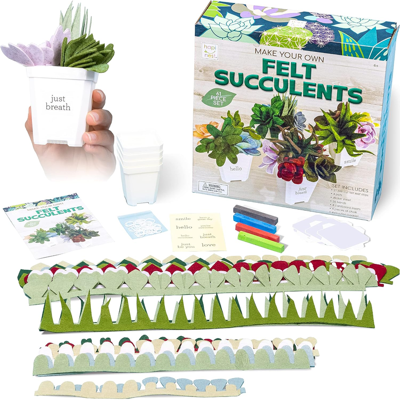 Hapinest DIY Felt Succulent Craft Kit – 4 Potted Plants for Adults & Teens