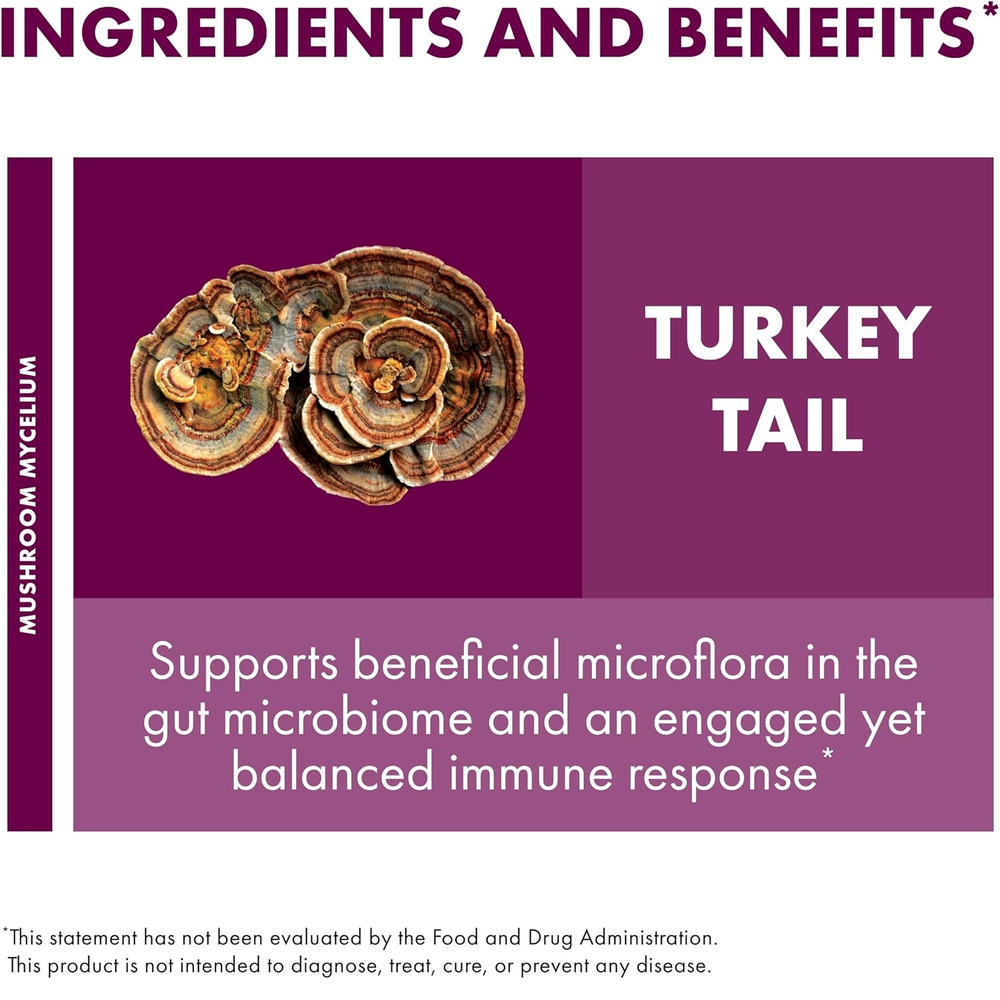 Host Defense Turkey Tail Capsules - Digestive Health & Immune Response Support Supplement - Mushroom Supplement for Gastrointestinal & Gut Microbiome Support - 120 Capsules (60 Servings)*