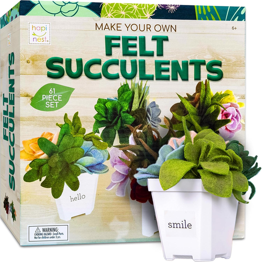 Hapinest DIY Felt Succulent Craft Kit – 4 Potted Plants for Adults & Teens
