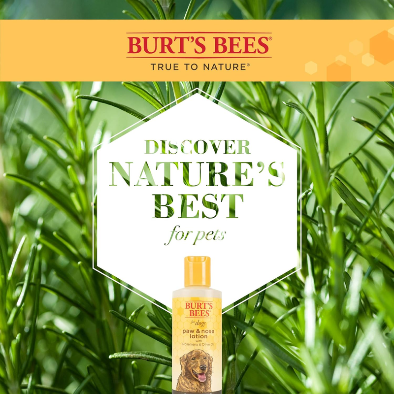 Burt’s Bees Paw & Nose Lotion for Dogs with Rosemary & Olive Oil – 2 Pack, 4oz