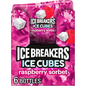 Ice Cubes Raspberry Sorbet Flavored Sugar Free (6 Count, 40 Pieces)