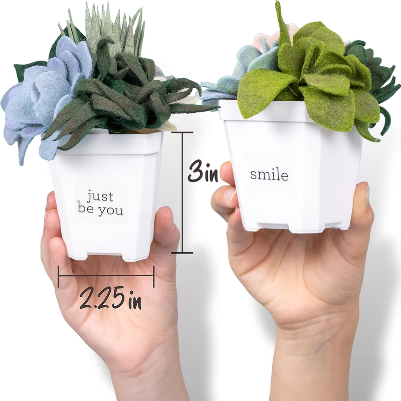 Hapinest DIY Felt Succulent Craft Kit – 4 Potted Plants for Adults & Teens