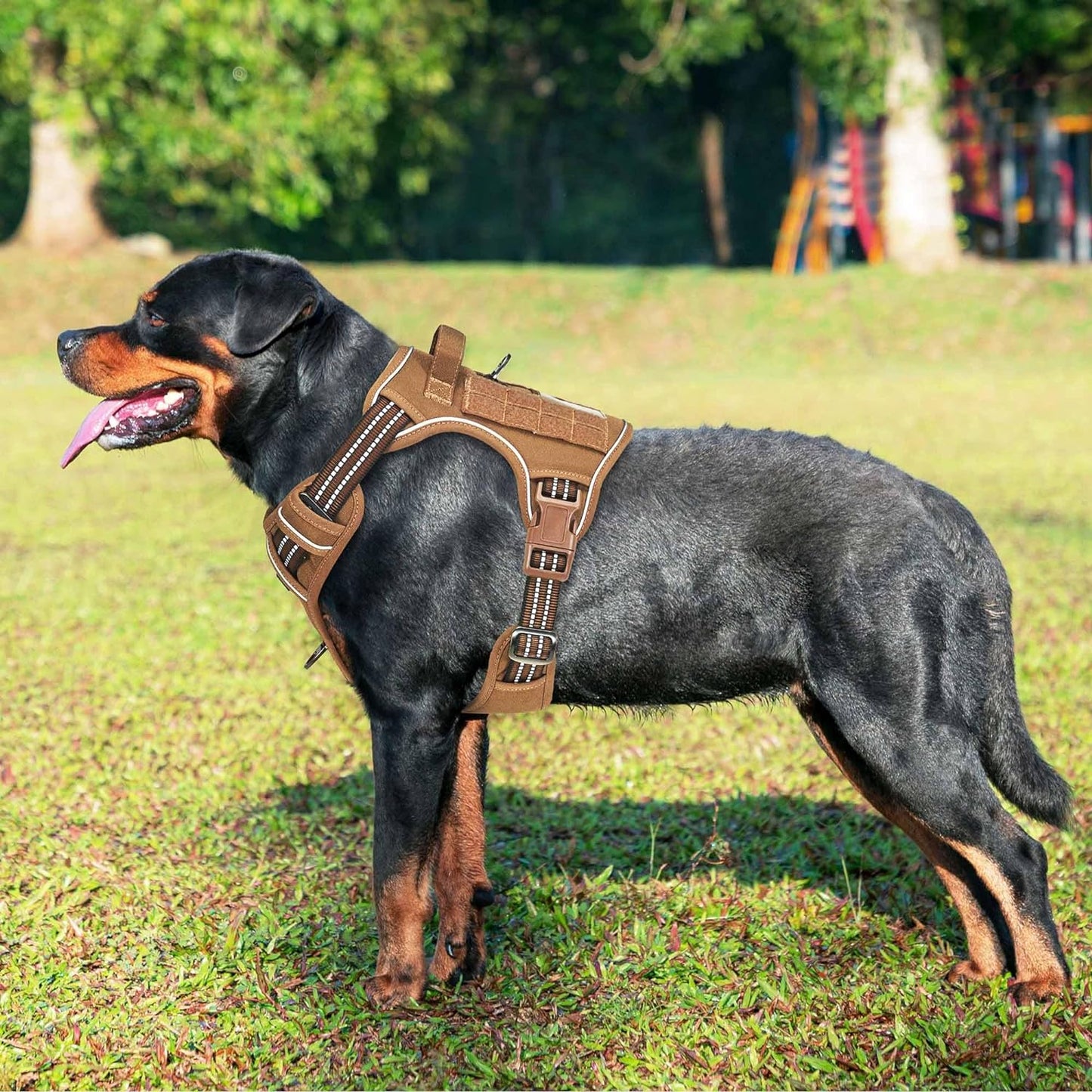Heavy Duty Tactical Dog Harness for Large Dogs