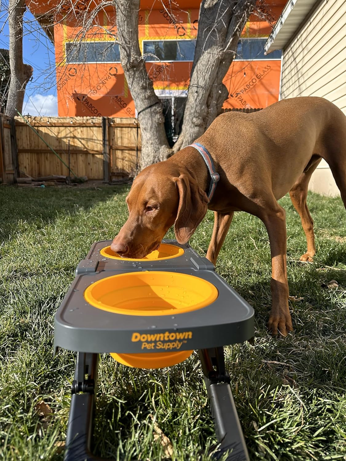 Downtown Pet Supply Raised Dog Bowl
