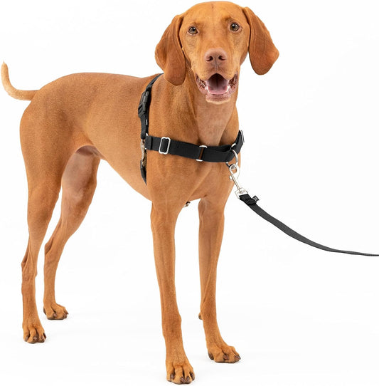 Petsafe Easy Walk Harness for Dogs