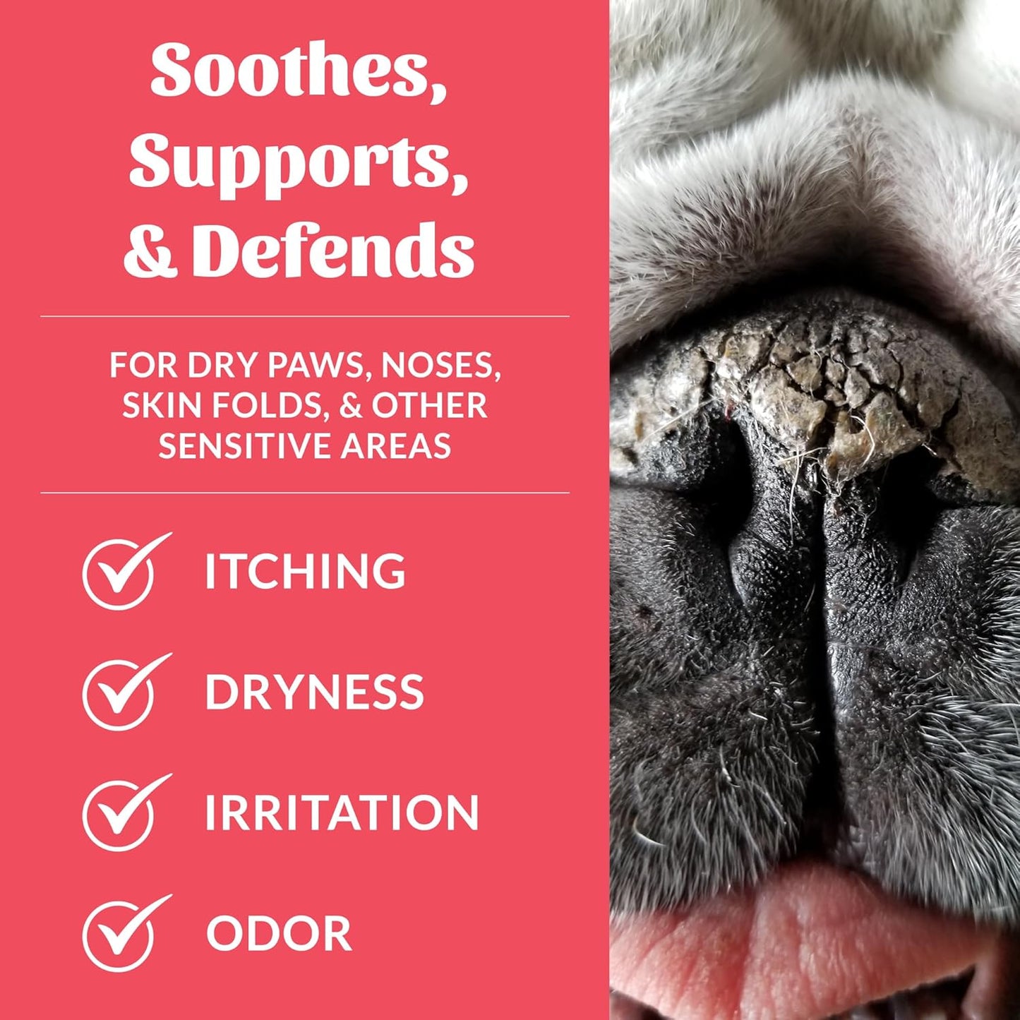 SKOUT'S HONOR Prebiotic Pet Balm