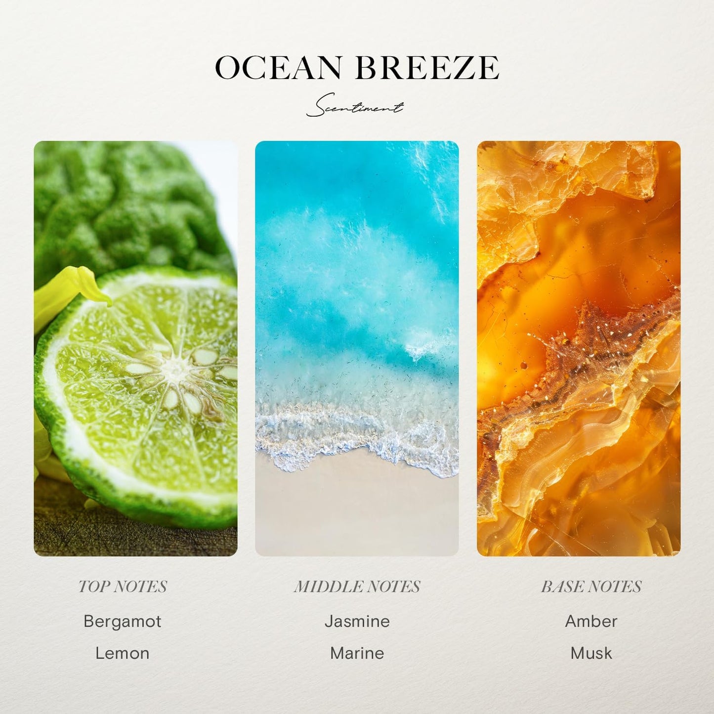 Scentiment Diffuser Oil - Ocean Breeze