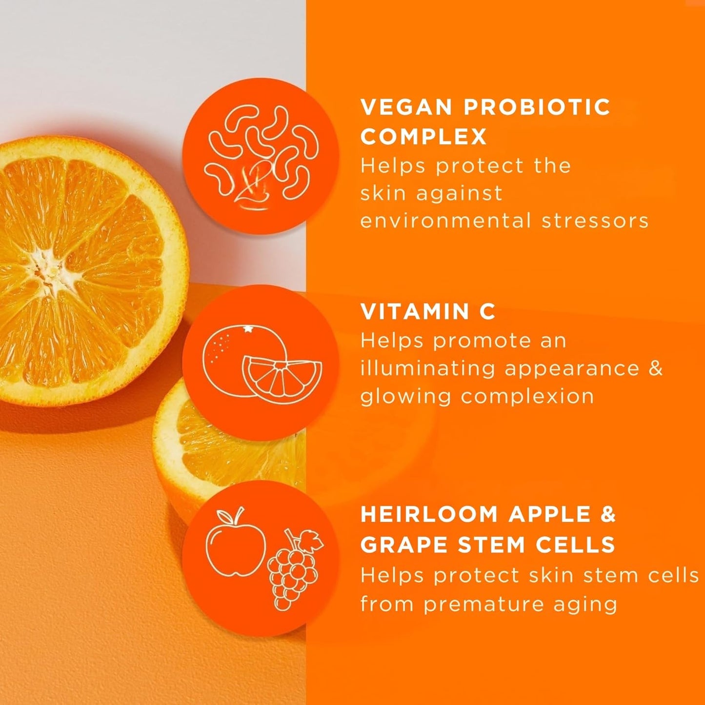 Andalou Naturals Probiotic + C Renewal Cream, Probiotic plus C, Complexion Enhancing Face Moisturizer, Helps Promote Firmer Skin & More Even Skin Tone, Lightweight Hydrating Facial Moisturizer, 1.7 Oz