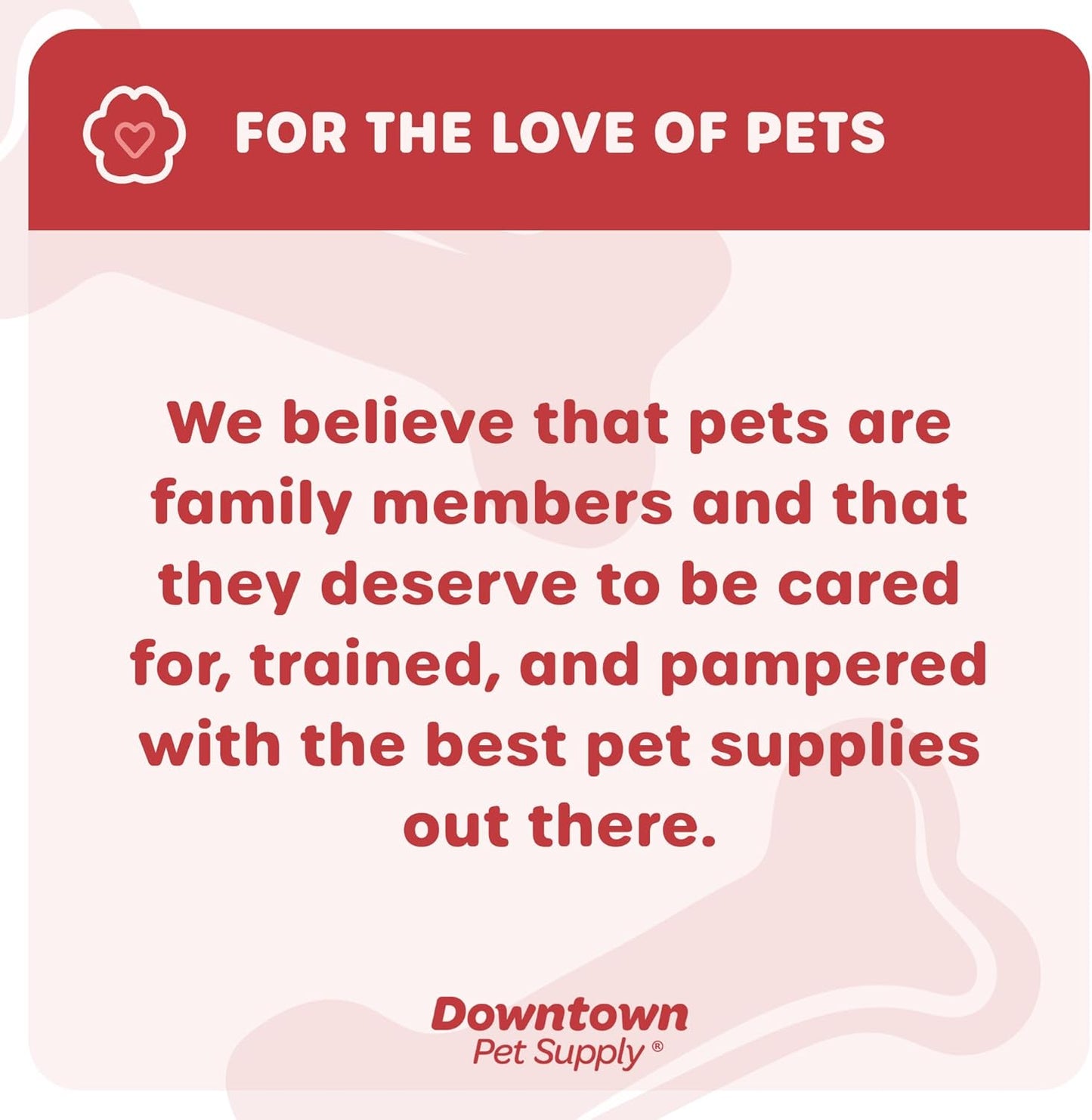 Downtown Pet Supply Raised Dog Bowl