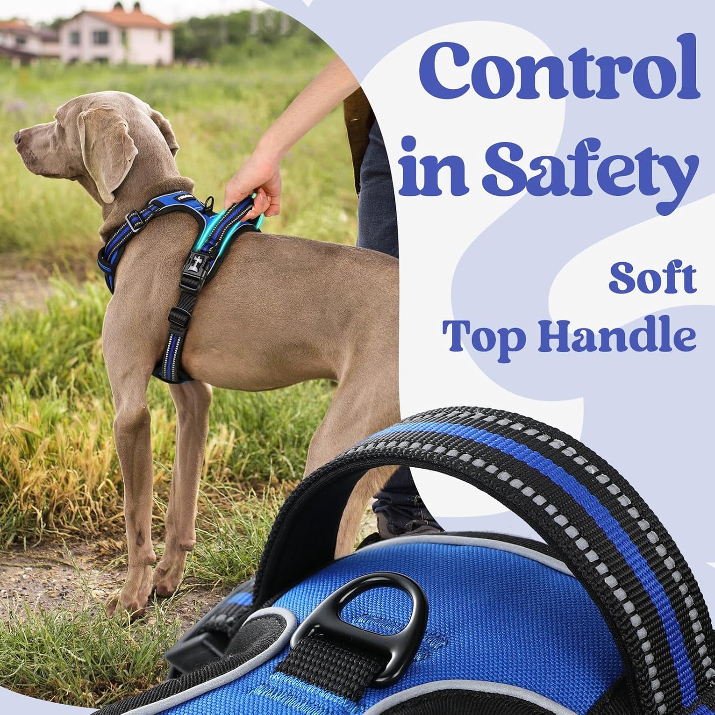 Rabbitgoo Dog Harness Medium Sized