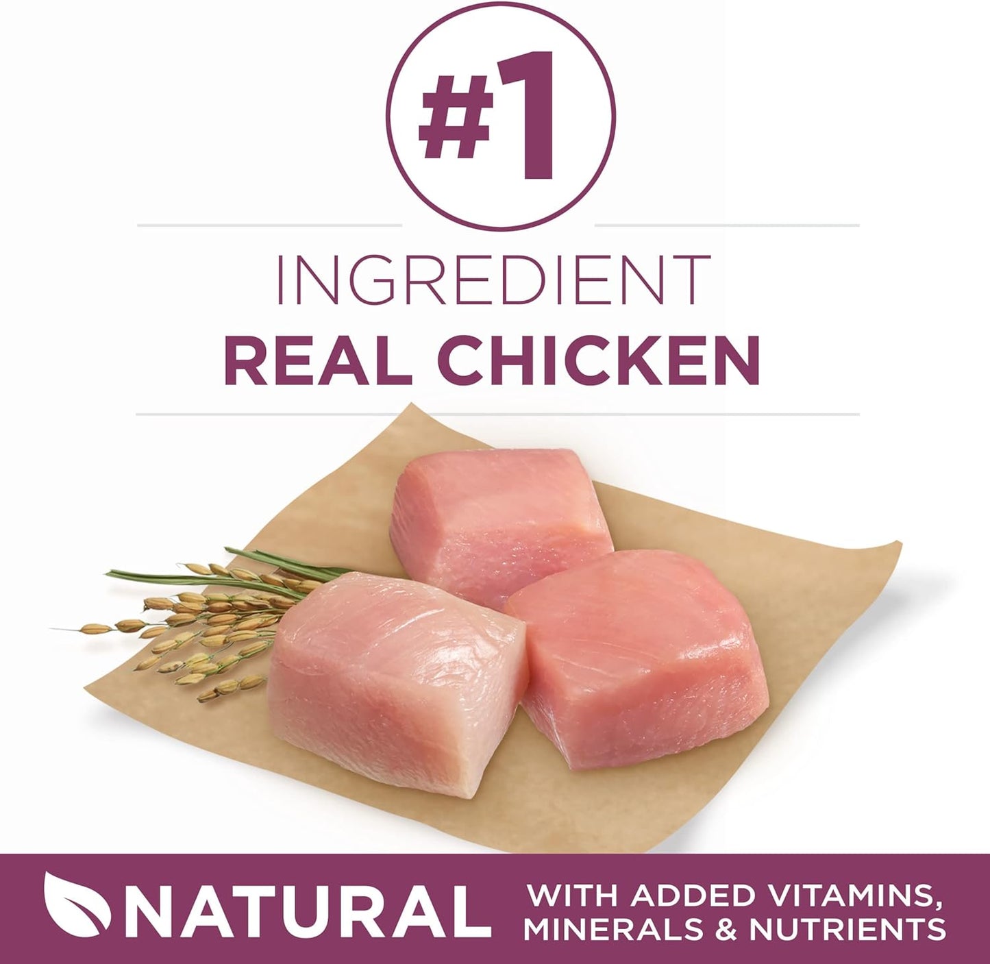 Purina ONE Puppy Food, High Protein Formula 