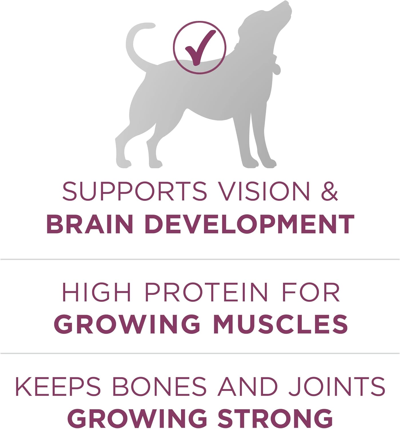 Purina ONE Puppy Food, High Protein Formula 