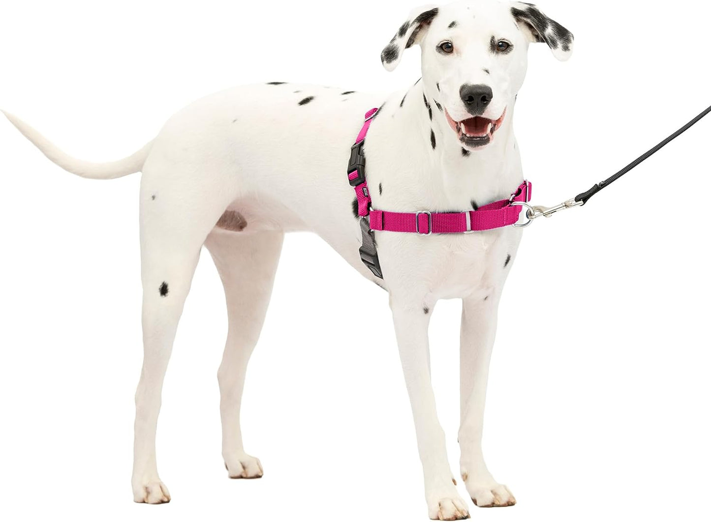 Petsafe Easy Walk No-Pull Dog Harness