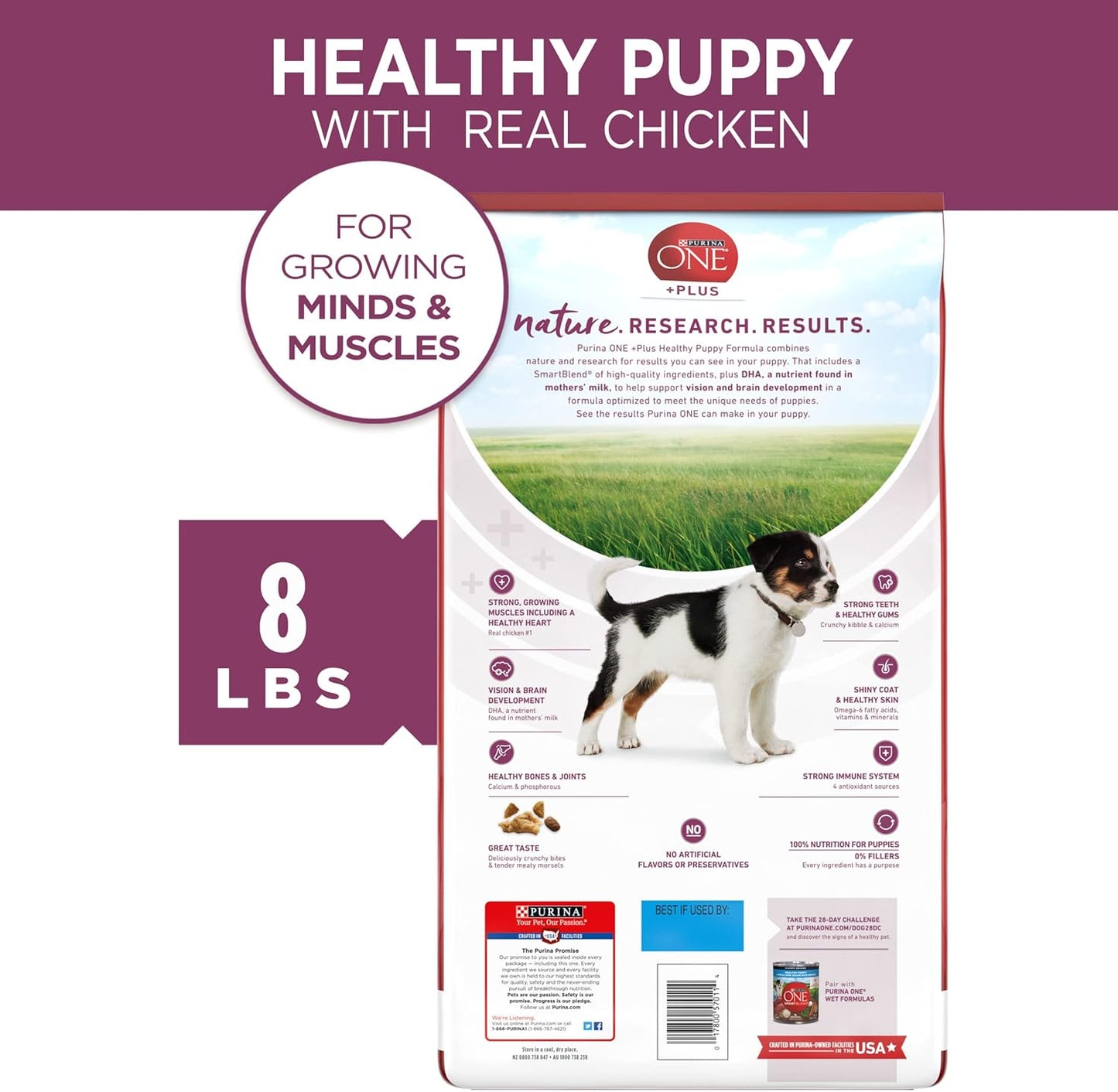 Purina ONE Puppy Food, High Protein Formula 