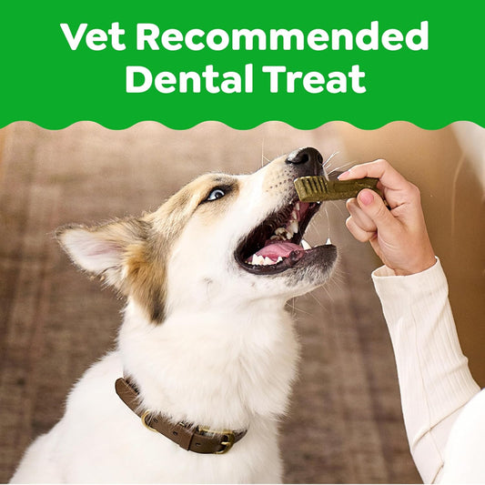 Greenies Veterinarian-Recommended Adult Natural Dental Dog Treats Large Size,
