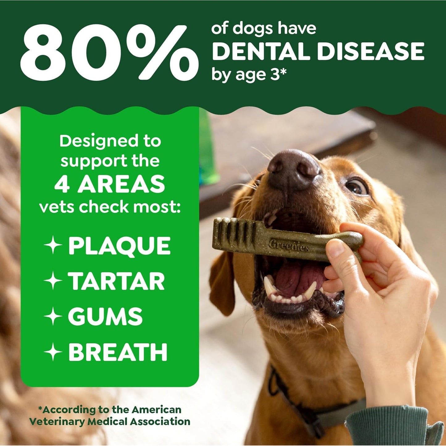 Greenies Veterinarian-Recommended Adult Natural Dental Dog Treats Large Size,
