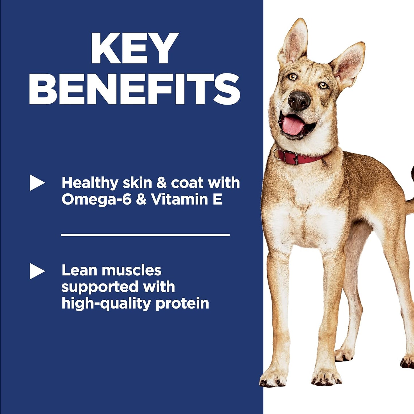 Hill'S Science Diet Adult 1-6, Adult 1-6 Premium Nutrition, Dry Dog Food