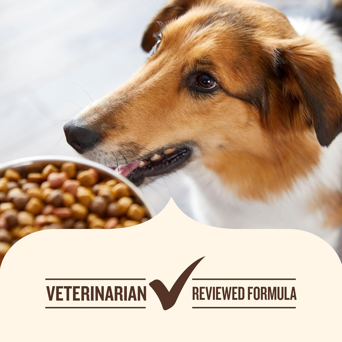 Nutrish Little Bites Small Breed Premium Natural Dry Dog Food