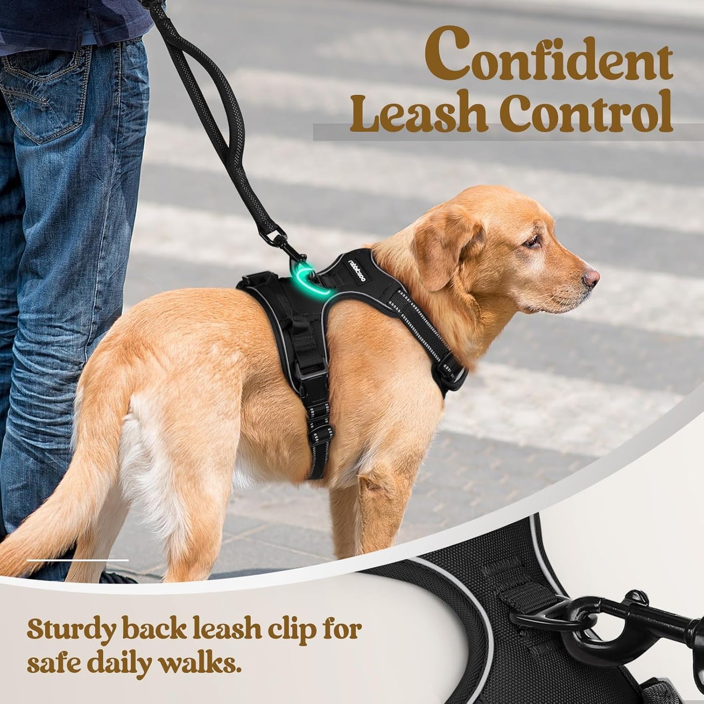 Rabbitgoo Dog Harness No Pull with 2 Leash Clips