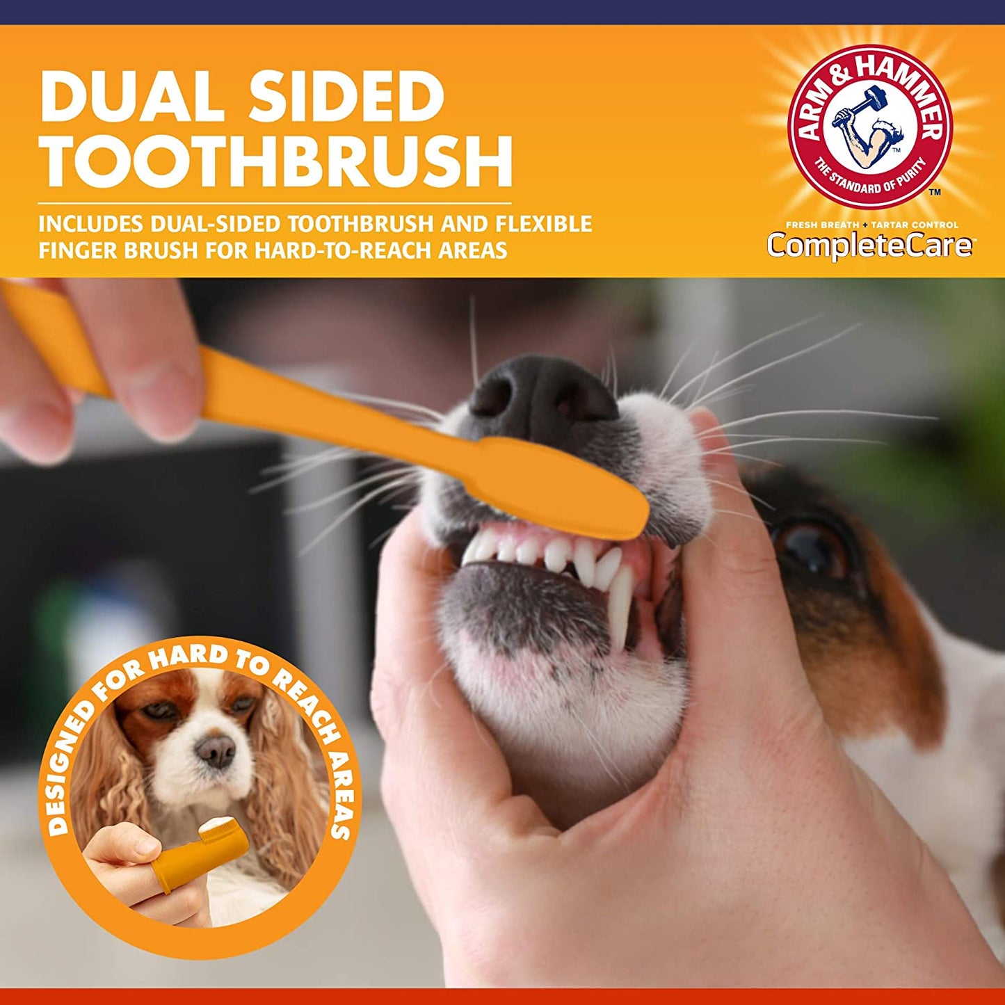 Arm & Hammer Complete Care Dog Dental Kit