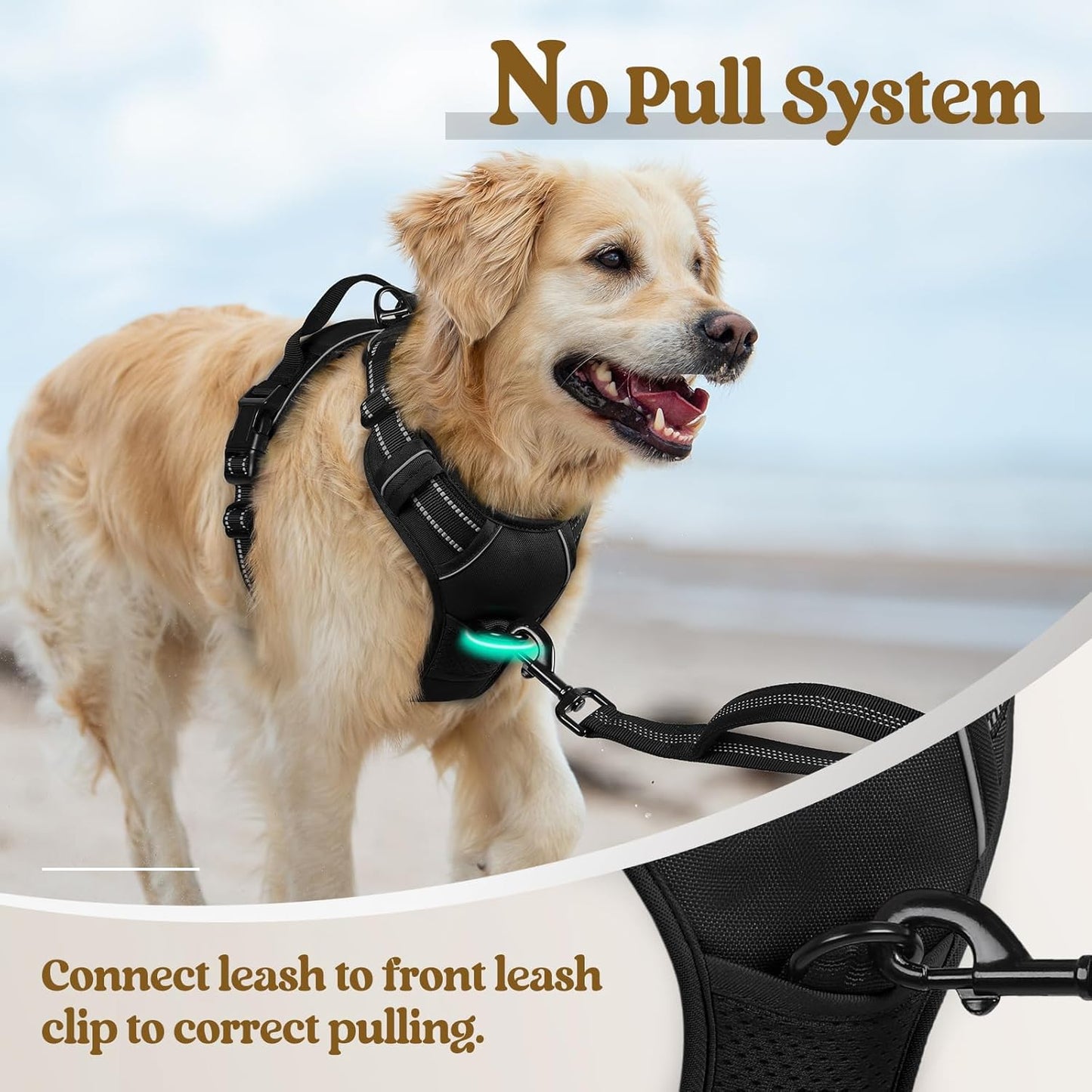 Rabbitgoo Dog Harness No Pull with 2 Leash Clips