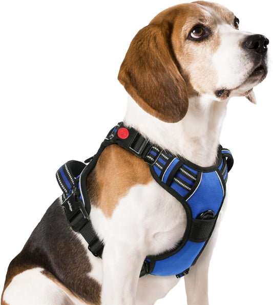 Rabbitgoo Dog Harness Medium Sized